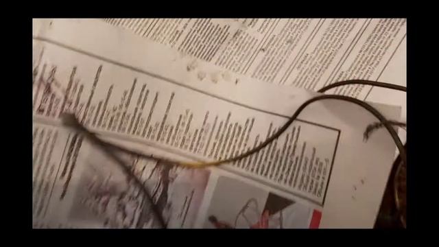 Самый легкий способ проверить 6 вольтовый генератор от мотоцикла урал 100 проц рабочий способ
