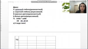 Решение задач на дигибридное скрещивание 9 класс