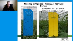 Ловушки для трипсов