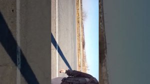 Встреча с друзьями после долгой разлуки