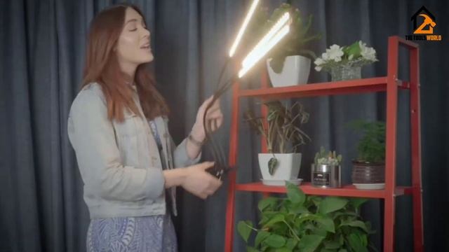 Best full spectrum LED grow lights [Top 5 Picks]