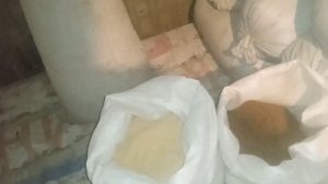 как добиться отличных привесов в области свиноводства. Соевый шрот, как он работает.