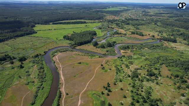 Парадоксальный Неман Добро пожаловать на средний и особо обворожительный Неман смотреть онлайн