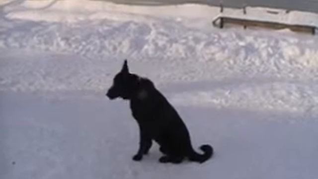 Дема рядом_WMV V9.wmv смотреть онлайн