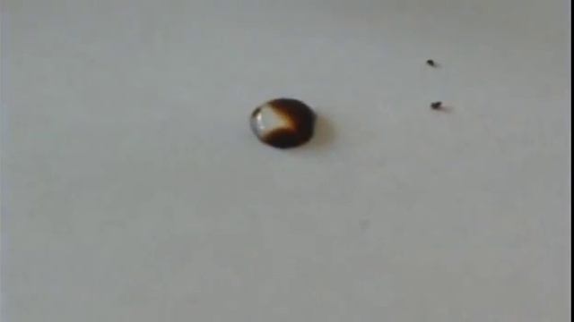 *Диффузия* Капля воды+кофе. #1 смотреть онлайн