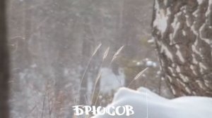 Серебро, огни и блёстки - Валерий Брюсов