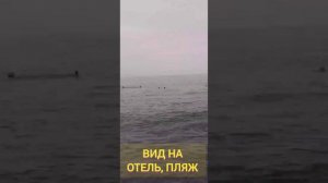 02.09.24-06.09.24 #Адлер, #отель #Оазис, #пляж #Коралл, #Сочи, #концерт❤😊🌸