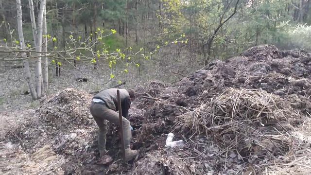 Эксперимент: выманиваем червя или правильные закладки! ? смотреть онлайн