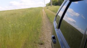 Охота с борзой | ХОРТАЯ ГОТОВИТСЯ К ОХОТЕ