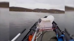 Управляемость и маневренность ПВХ лодки Saturn KaBoat SK430 под мотором SEA-PRO T 5S (5л.с.)