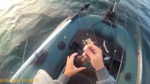 Рыбалка на Чёрном море с лодки 24.08.2016. Ловим кнута.