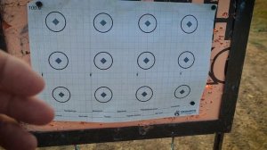 Отбор патрона 22лр.mp4