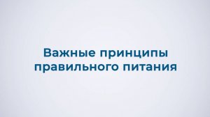 Важные принципы правильного питания