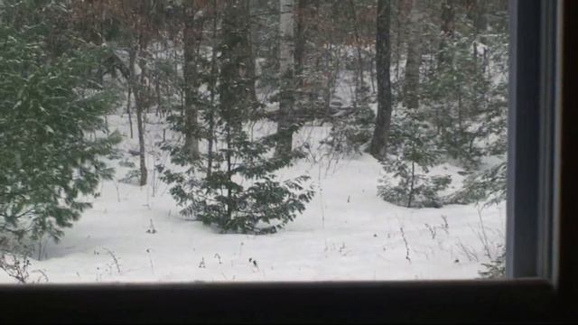 Got the Mornin' Blues J A W 3 21 22 practice recorded with one AKG C 4000B mic set in omni mode смотреть онлайн