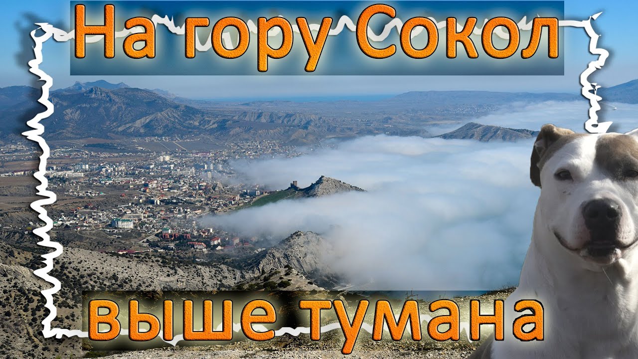 На гору Сокол выше тумана | Крым сегодня смотреть онлайн