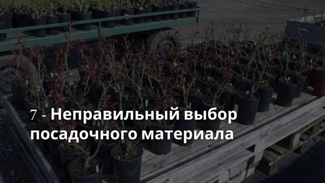 Курсы ландшафтного дизайна для начинающих | Цветник | Урок 1 - 10 Ошибок в создании цветника