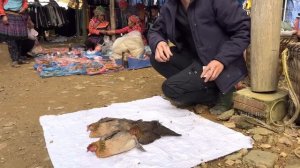 Zon sells Chickens and Boar at the year-end Tet market, vang hoa, king kong amazon