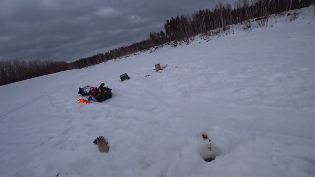 Выходные на реке Лозьва! Рыбалка с ночёвкой! Рыбы поймали! Вкусностей поели! Рыбалка в полнолуние! смотреть онлайн