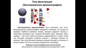 Занятие 7 - Эксклюзионная хроматография (гель-фильтрация)