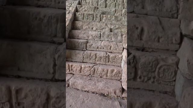 Самая большая Иероглифическая лестница Майя в Гондурасе. Копан руинас.