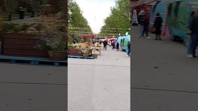 Приморский парк Победы