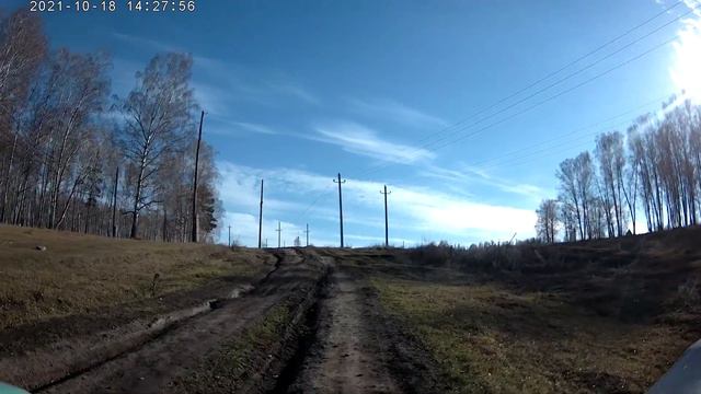 #144. 2021. По горам по долам нынче здесь завтра там // Маслянино