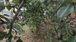 закупаемся к школе✨южные будни✔️21-23.08.2024