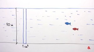 Гидростатическое давление   Физика в опытах и экспериментах