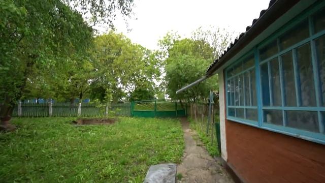 СМОТРЮ ЗА СУТОЧНЫМИ ГУСЯТАМИ смотреть онлайн