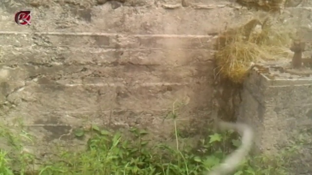 бетон в лесу находка смотреть онлайн