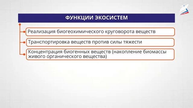 Принципы организации экосистем