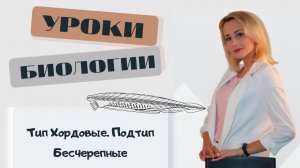 Тип Хордовые. Подтип Бесчерепные