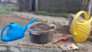 Как посадить цветы 🌸