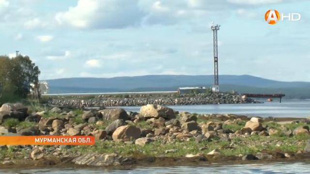 Тело утонувшего ребёнка нашли спустя полтора месяца смотреть онлайн