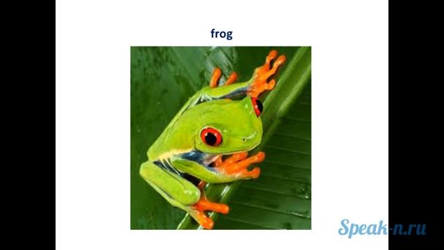 Английская кошка смотреть онлайн