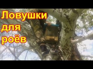 Ставим ловушки для роёв. ЛОВЛЯ РОЕВ 2019
