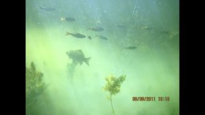 О костюмах для подводной охоты в зимний период. KiselevSA