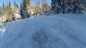 JEEP GRAND CHEROKEE WJ Мощь V8