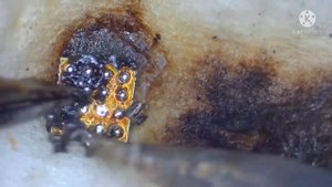 iPhone 6s тусклый экран, еле видно изображение… Ремонт подсветки
