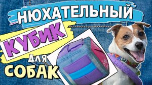 НЮХАТЕЛЬНЫЙ КУБИК для собак своими руками. Нюхательный коврик