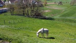 Германия | Прогулка по немецкой деревне Линденфельс