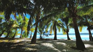 Тропические острова и релакс. Tropical islands and relaxation.