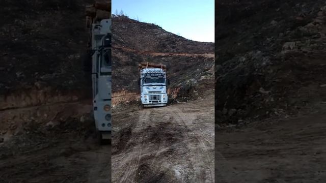 Ormanın Kralı /Ford Cargo