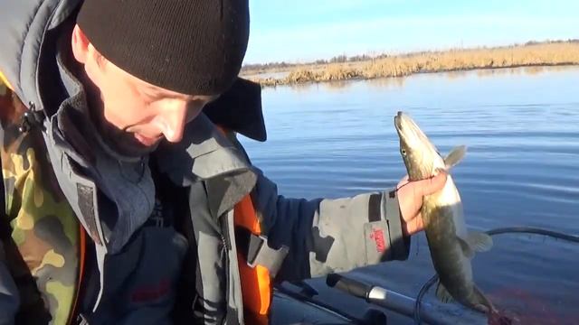 Рыбалка на кружки в январе смотреть онлайн