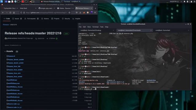 Прохождение lab Startup | TryHackMe смотреть онлайн