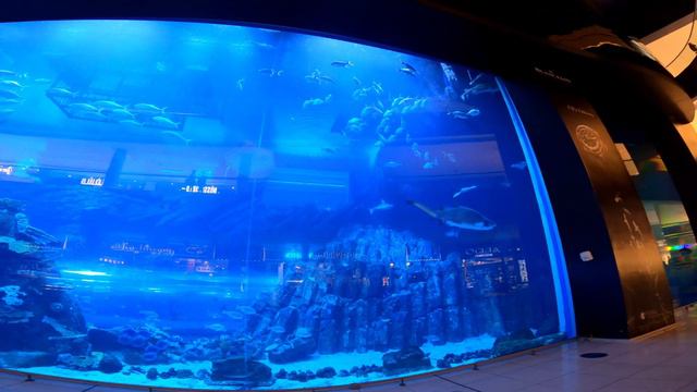 4K❘ Dubai Mall Virtual Walking Tour 2021. Dubai Aquarium ❘ Молл Дубай. Аквариум, Бурдж Халифа смотреть онлайн
