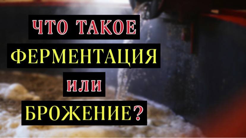 Что такое ферментация или брожение. Просто о главном.