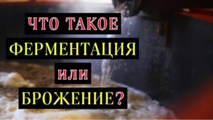 Что такое ферментация или брожение. Просто о главном.