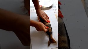 Чистим терпуг рыбочисткой Стрипфиш