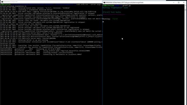 Selenium Web Frontend Testing on Rasberry Pi 3 with Firefox